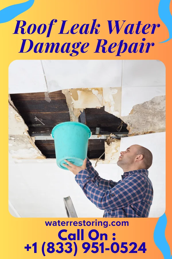 Roof Leak Water Damage Repair in Woodman, WI
